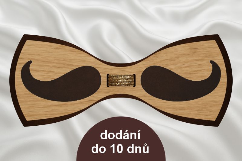 Elegantní motýlek Large Moustache